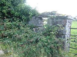 bellanamullia - 1167.JPG